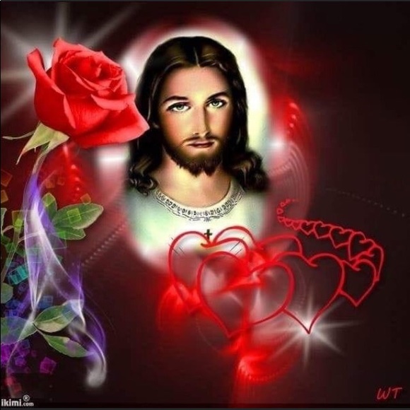 Meet your Posher, Bunny - Picture 8 of 16